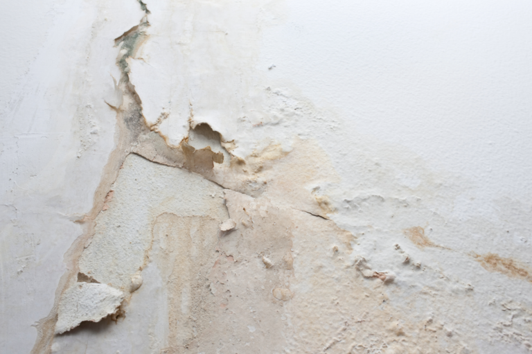 Peeling lead paint